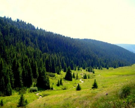 Херцози, роднини на Симеон, се отказаха от собствеността си на рилски гори