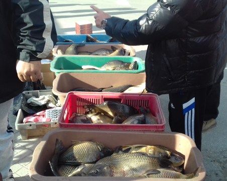 Проверяват пазар до КАТ Пловдив! Спипани са нарушители СНИМКИ