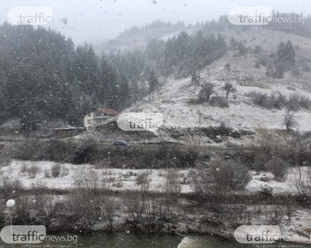 След подранилата пролет: Сняг заваля в Чепеларе и Пампорово, очертава се ски уикенд СНИМКИ