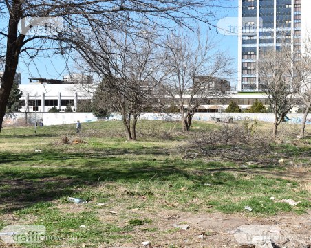 Тотев за сагата с 16 дка в Кършияка: Имотът е продаден за 1 млн. лева, ще предложим толкова ВИДЕО