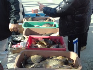 Проверяват пазар до КАТ Пловдив! Спипани са нарушители СНИМКИ