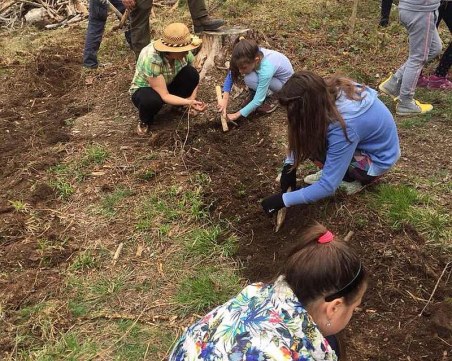 Засаждат 3000 дръвчета в Пловдивско в кампанията 