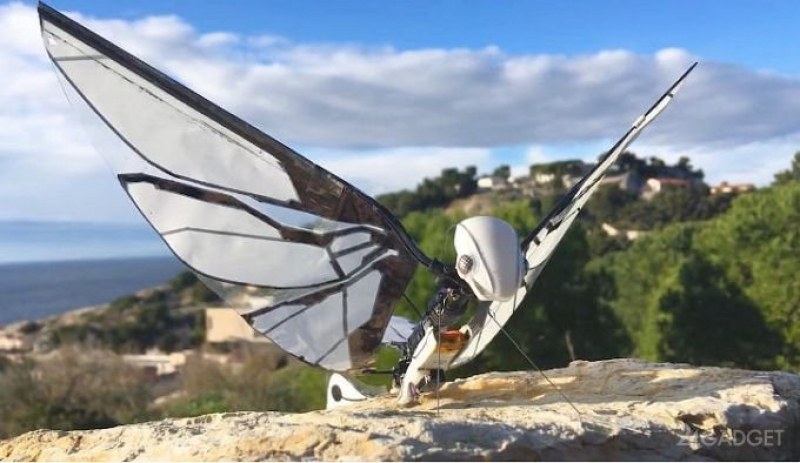 Създадоха робот - пеперуда ВИДЕО