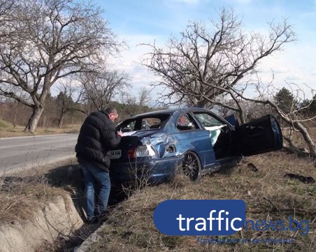 Гипс и домашно лечение за забилите се в дърво край Карлово ВИДЕО