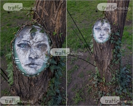 Ликът на мистична жена се появи на дърво в Пловдив СНИМКИ