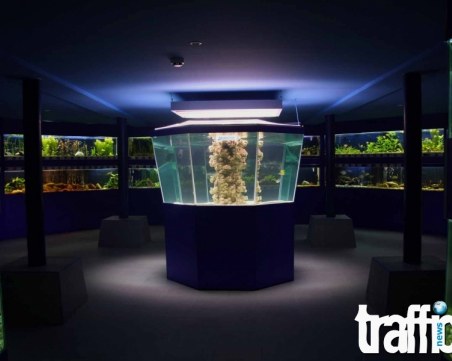 Нова зала с морски обитатели отваря врати в Природонаучния в Пловдив