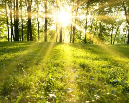 Пролетта се завръща! Идните 10 дни – слънчеви и топли с 20°C