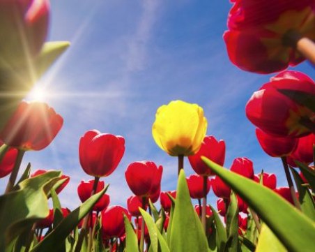 Уикендът – слънчев и топъл, с до 20°C. От вторник пак облаци, пак дъжд