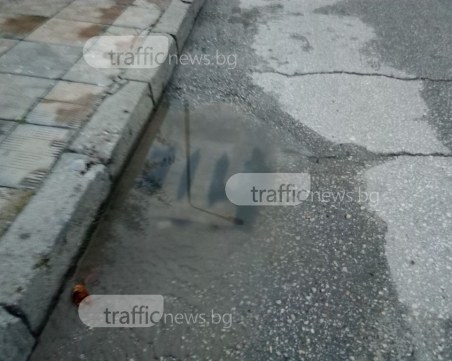 Започва обработка срещу гризачи в Пловдив! Не паркирайте върху шахтите