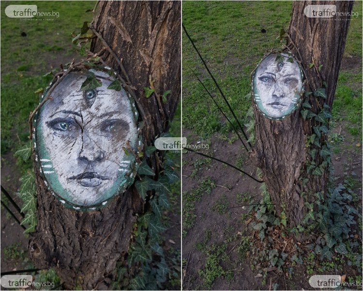 Ликът на мистична жена се появи на дърво в Пловдив СНИМКИ