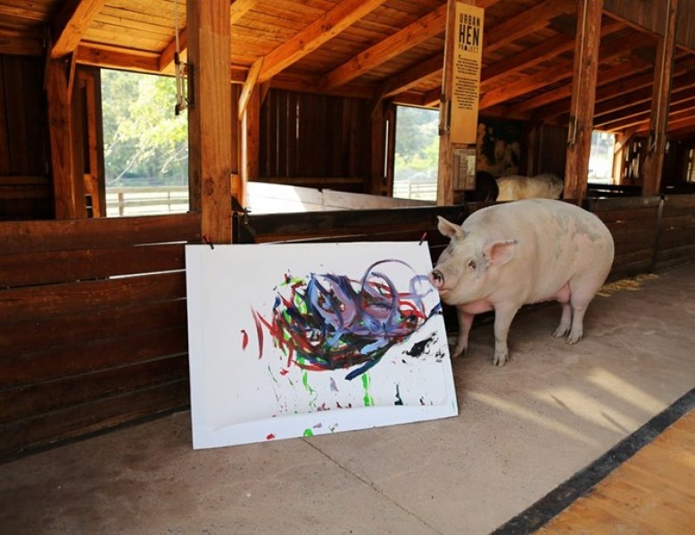 Свиня гони по слава Пикасо, вади по $ 4 000 от картина ВИДЕО