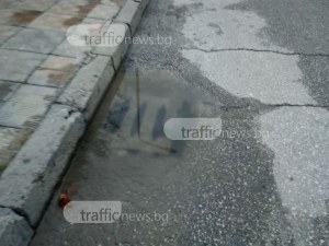 Започва обработка срещу гризачи в Пловдив! Не паркирайте върху шахтите