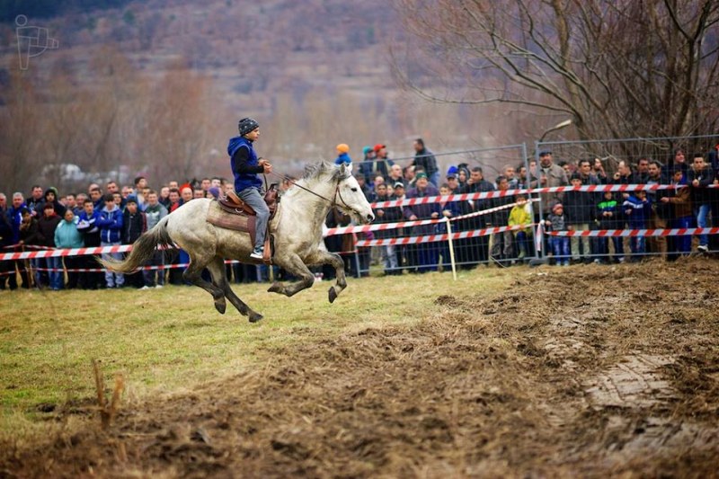 Надбягвания с римски колесници и конкурс за най-грозен кон ни очакват край Пловдив