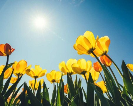 Много слънце и високи температури до сряда, после малко дъжд