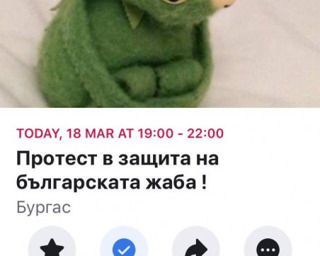 Може да са крастави, ама са наши! Протест брани българските жаби