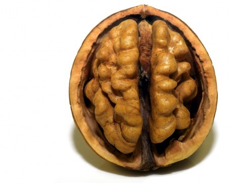 Как да подобрим паметта и функциите на мозъка си?