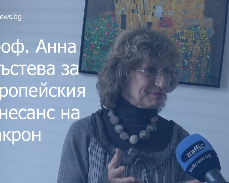 Политологът проф. Анна Кръстева: Макрон говори на цяла Европа! ВИДЕО