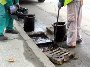 Започва акция срещу гризачи от днес в Пловдив
