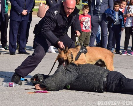 Полицаи на четири лапи влизат в зрелищна акция в Пловдив