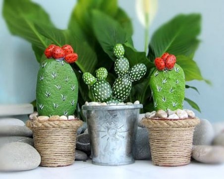 Произвеждат биогориво от кактуси в Мексико