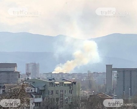Сухи треви пламнаха на метри от пловдивско училище, два екипа огнеборци са на мястото СНИМКИ