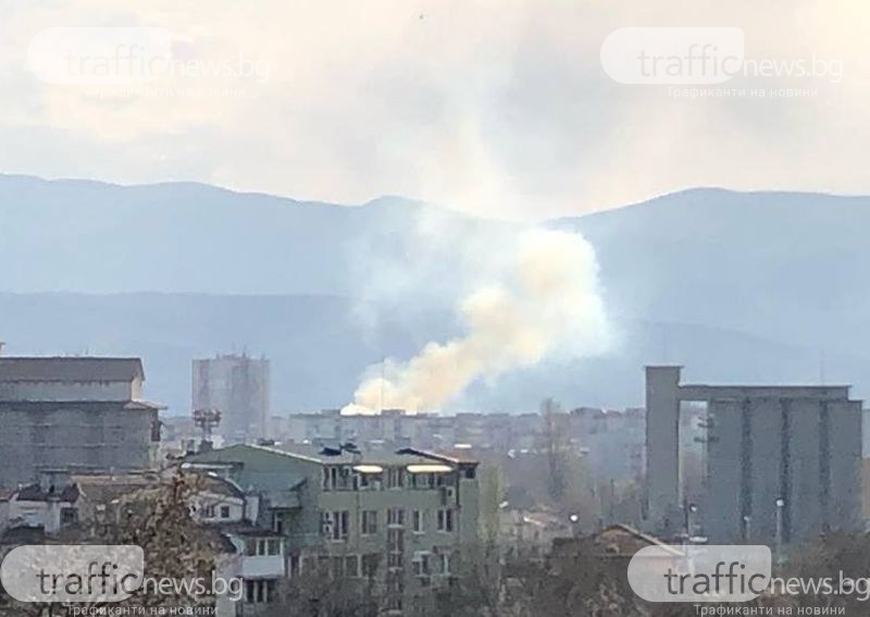 Сухи треви пламнаха на метри от пловдивско училище, два екипа огнеборци са на мястото СНИМКИ