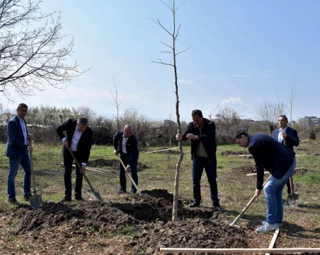 Пловдив стана още по-зелен, засадиха 100 нови дървета в парк 