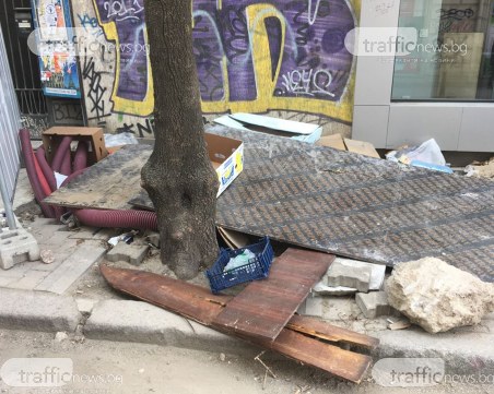Софийските дървета по софийските ремонти СНИМКИ