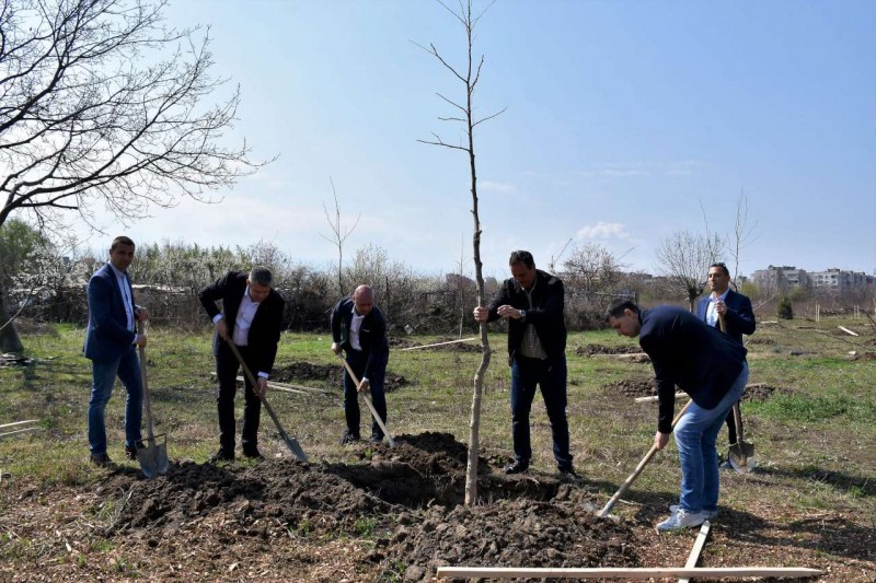 Пловдив стана още по-зелен, засадиха 100 нови дървета в парк 