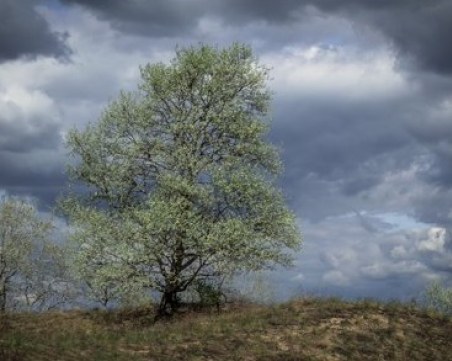 Първият пролетен ден: Хладен, облачен, дъждовен, градусите до 17
