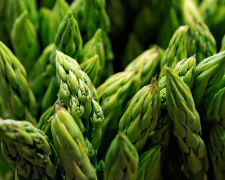 А британските аспержи гният по полето! Фермери се вайкат: Българи, къде сте?