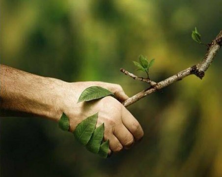 Доброволци от Пловдив и страната залесяват ЗАЕДНО България