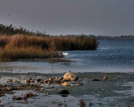 Екоминистърът: Шабленското езеро е затлачено с тиня, рибата намалява!