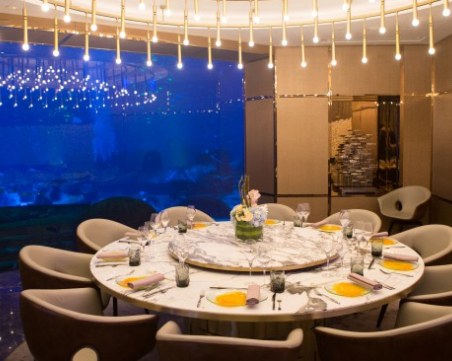 Хапва ли се в компанията на риби? Вече е възможно - само срещу 380 евро! СНИМКИ