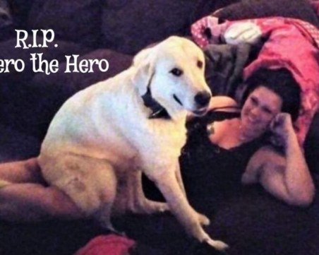 Куче герой спаси стопаните си по време на стрелба СНИМКИ