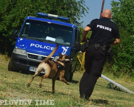 Спецполицаи на четири лапи влизат в акция в Пловдив