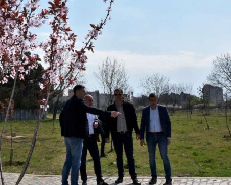 Управлява ли кампанийно Пловдив зелените си имоти, или кога властите 