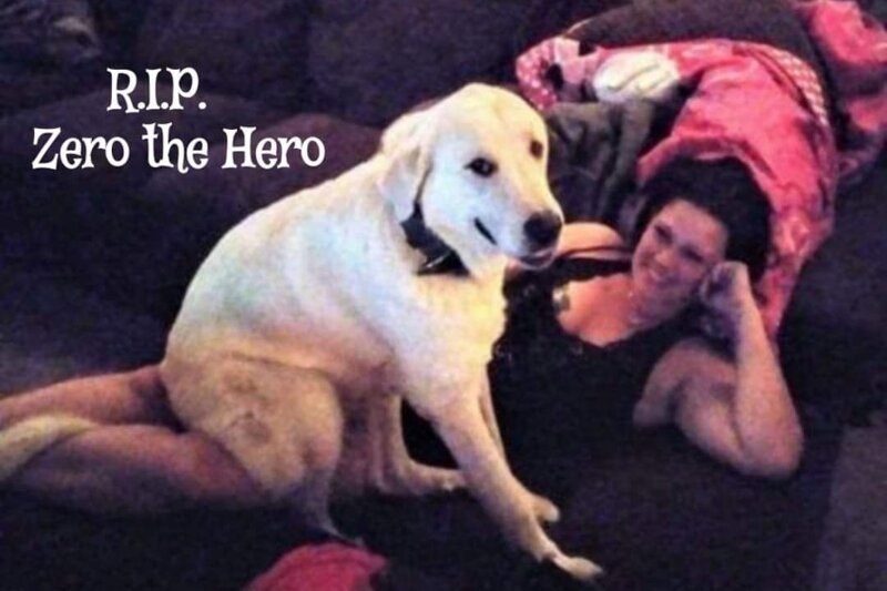 Куче герой спаси стопаните си по време на стрелба СНИМКИ