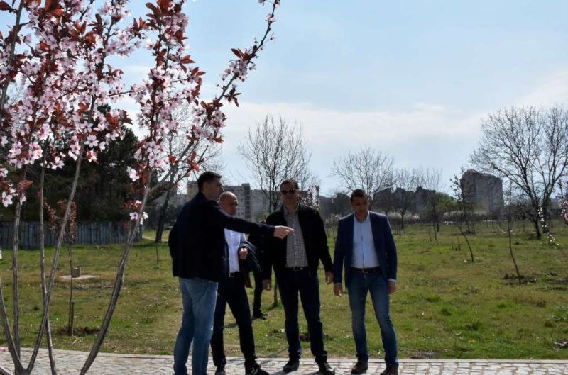 Управлява ли кампанийно Пловдив зелените си имоти, или кога властите 