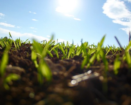Утре ще е слънчево, но от вторник - понижение на температурите и валежи