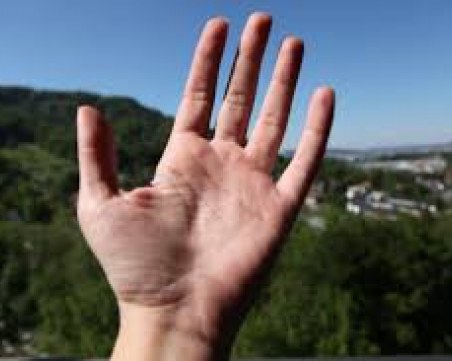 За какво са ни линиите на дланите? ВИДЕО