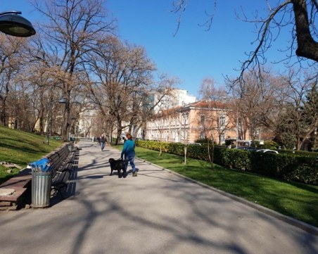 Жената на Милен Велчев се сражава с лабрадор