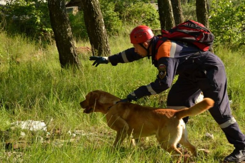 Кучета откриха, а спасители носеха цял час на ръце загубеното момче край Сливен
