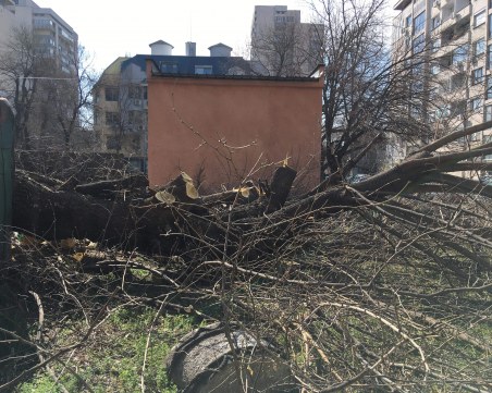 Община Пловдив безсилна срещу застрояването на междублоков терен в центъра на Пловдив ВИДЕО