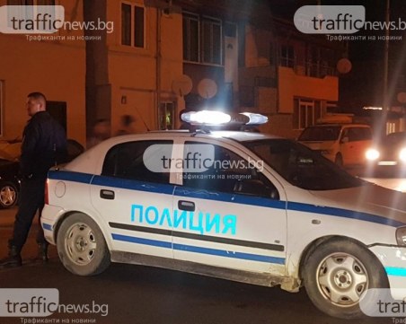 Зарязан Ромео изкърти пътен знак край Пловдив, направи си люлка с него и го закопчаха