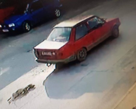 Гняв и безсилие! Човешки индивид влачи куче с колата си СНИМКА