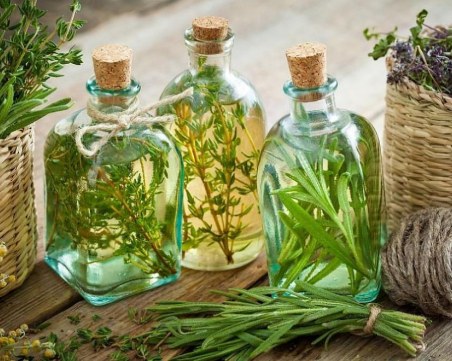 Коя е билката, която маите са използвали като афродизиак?