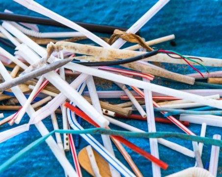 Край на пластмасовите сламки и клечки за уши, Европа ги забрани