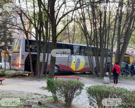 Автобус се заби в градинката пред ПУ! Минувачи разбиха вратата, за да извадят шофьора