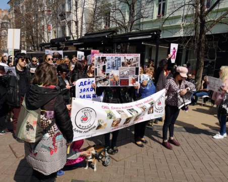 Гаврите с животни изведоха граждани и кучета на протест